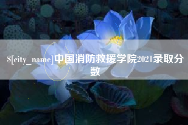 岳阳中国消防救援学院2021录取分数