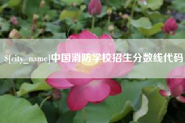 岳阳中国消防学校招生分数线代码