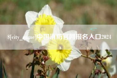 岳阳中国消防官网报名入口2024