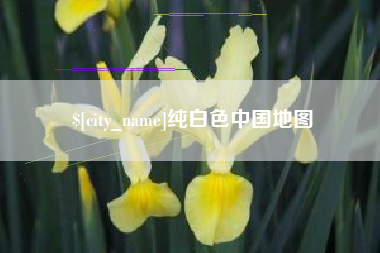 岳阳纯白色中国地图