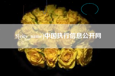 岳阳中国执行信息公开网