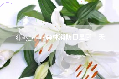 岳阳森林消防日是哪一天