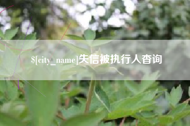 岳阳失信被执行人杳询
