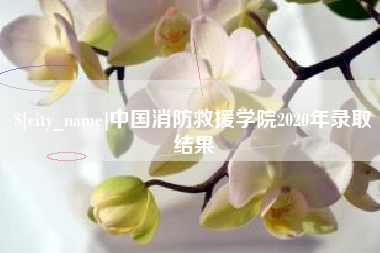 岳阳中国消防救援学院2020年录取结果