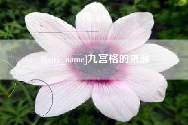 岳阳九宫格的来源