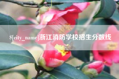 岳阳浙江消防学校招生分数线
