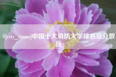 岳阳中国十大消防大学排名及分数线