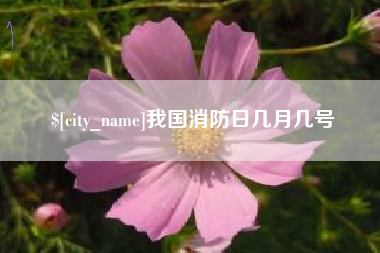 岳阳我国消防日几月几号