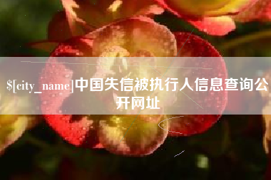岳阳中国失信被执行人信息查询公开网址