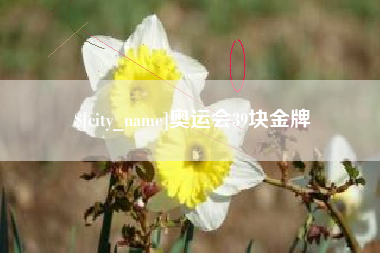 岳阳奥运会39块金牌