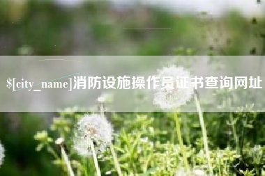 岳阳消防设施操作员证书查询网址