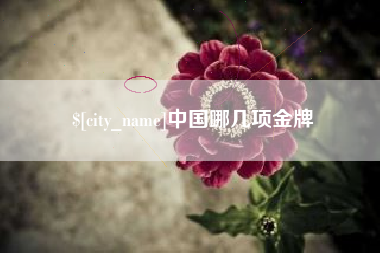 岳阳中国哪几项金牌