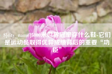 岳阳5000米世界冠军穿什么鞋-它们是运动员取得优异成绩背后的重要“功臣”