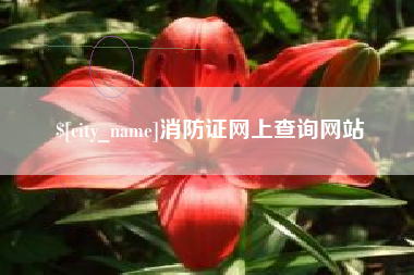 岳阳消防证网上查询网站