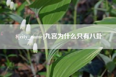 岳阳九宫为什么只有八卦