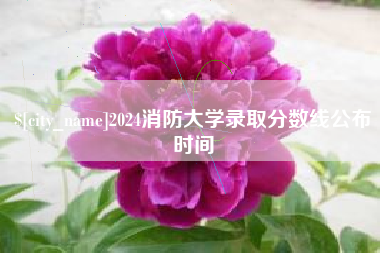 岳阳2024消防大学录取分数线公布时间