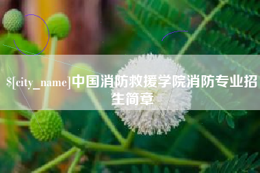岳阳中国消防救援学院消防专业招生简章