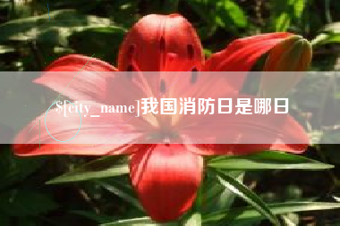 岳阳我国消防日是哪日