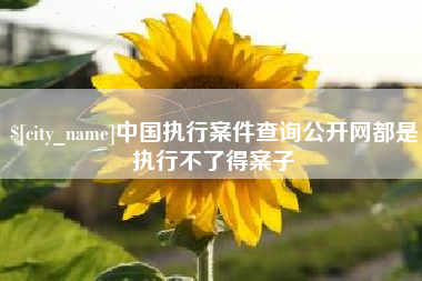 岳阳中国执行案件查询公开网都是执行不了得案子