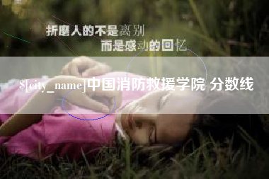 岳阳中国消防救援学院 分数线