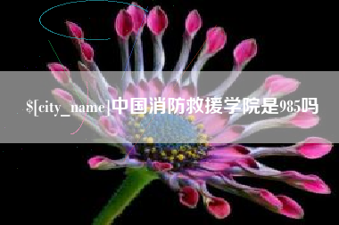岳阳中国消防救援学院是985吗