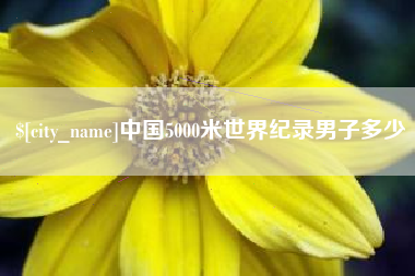 岳阳中国5000米世界纪录男子多少