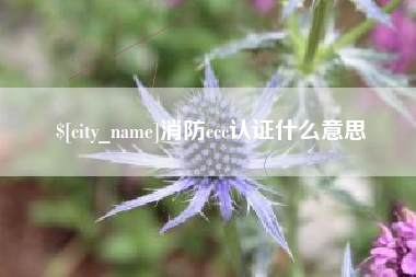 岳阳消防ccc认证什么意思