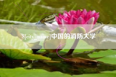 岳阳中国的消防大学