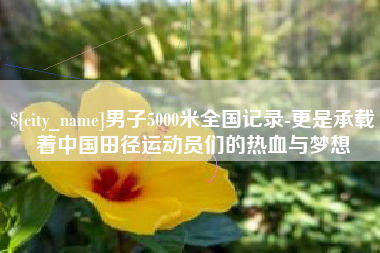 岳阳男子5000米全国记录-更是承载着中国田径运动员们的热血与梦想