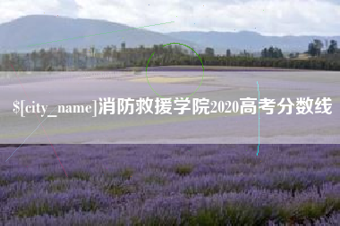 岳阳消防救援学院2020高考分数线