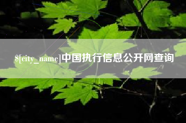 岳阳中国执行信息公开网查询
