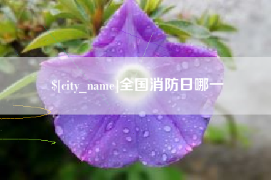 岳阳全国消防日哪一