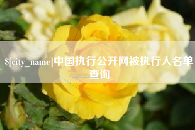 岳阳中国执行公开网被执行人名单查询