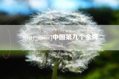 岳阳中国第九个金牌