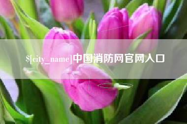 岳阳中国消防网官网入口