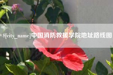岳阳中国消防救援学院地址路线图