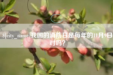 岳阳我国的消防日是每年的11月9日对吗？