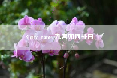 岳阳九宫如何排日