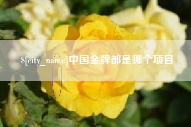 岳阳中国金牌都是哪个项目