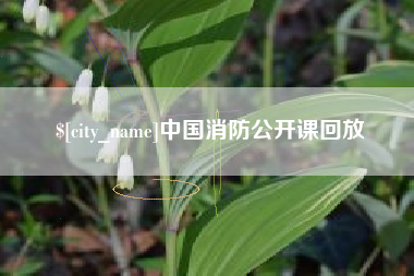 岳阳中国消防公开课回放