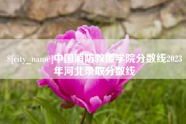 岳阳中国消防救援学院分数线2023年河北录取分数线