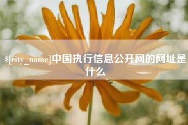 岳阳中国执行信息公开网的网址是什么