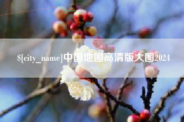 岳阳中国地图高清版大图2024