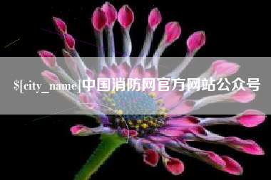 岳阳中国消防网官方网站公众号