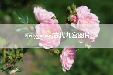 岳阳古代九宫图片