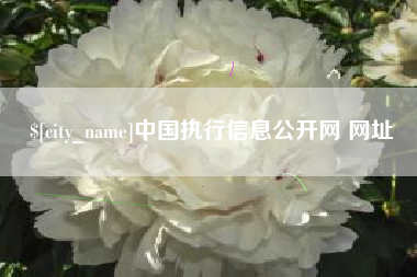 岳阳中国执行信息公开网 网址