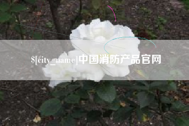 岳阳中国消防产品官网