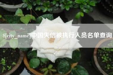 岳阳中国失信被执行人员名单查询