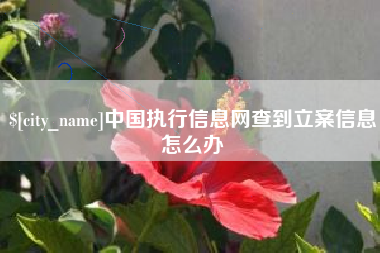 岳阳中国执行信息网查到立案信息怎么办