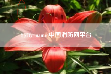 岳阳中国消防网平台
